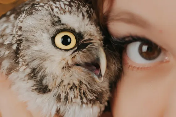 ΜάτςΑπ Καζίνο Υποστηριξη